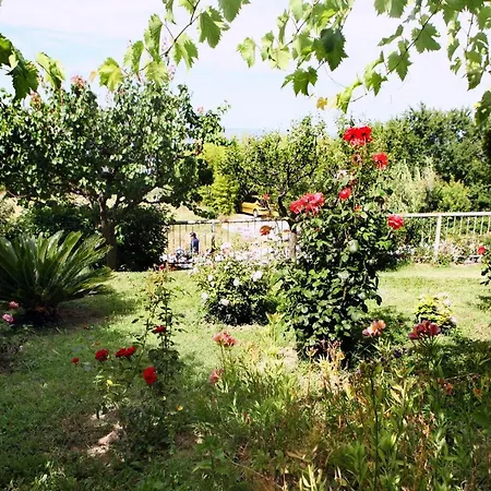 Apartmaji Orko S Pogledom Na Morje - Sea View Orko Appartement Portorož